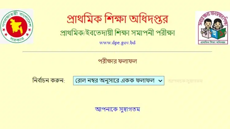 প্রাথমিক বৃত্তি পরীক্ষার ফলাফল ২০২৩