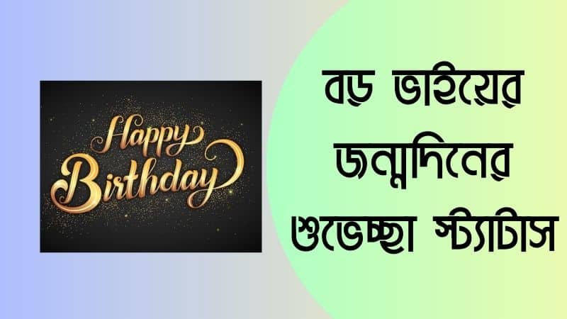 বড় ভাইয়ের জন্মদিনের শুভেচ্ছা স্ট্যাটাস