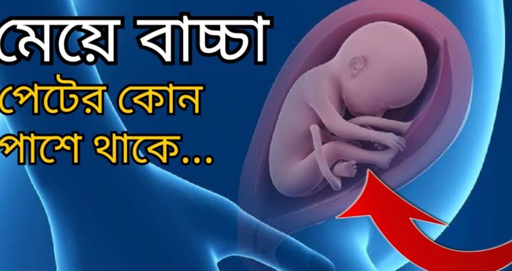 গর্ভাবস্থায় বাচ্চা পেটের কোন পাশে থাকে