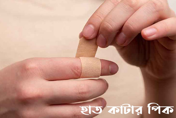 হাত কাটা পিক